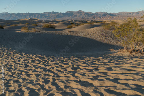 Mesquite Flat Dunes  Sand dunes at Death Valley National Park