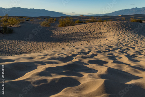 Mesquite Flat Dunes  Sand dunes at Death Valley National Park