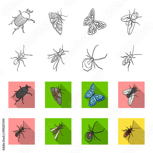 An insect arthropod, an osa, a spider, a cockroach. Insects set collection icons in outline,flet style vector symbol stock isometric illustration web.