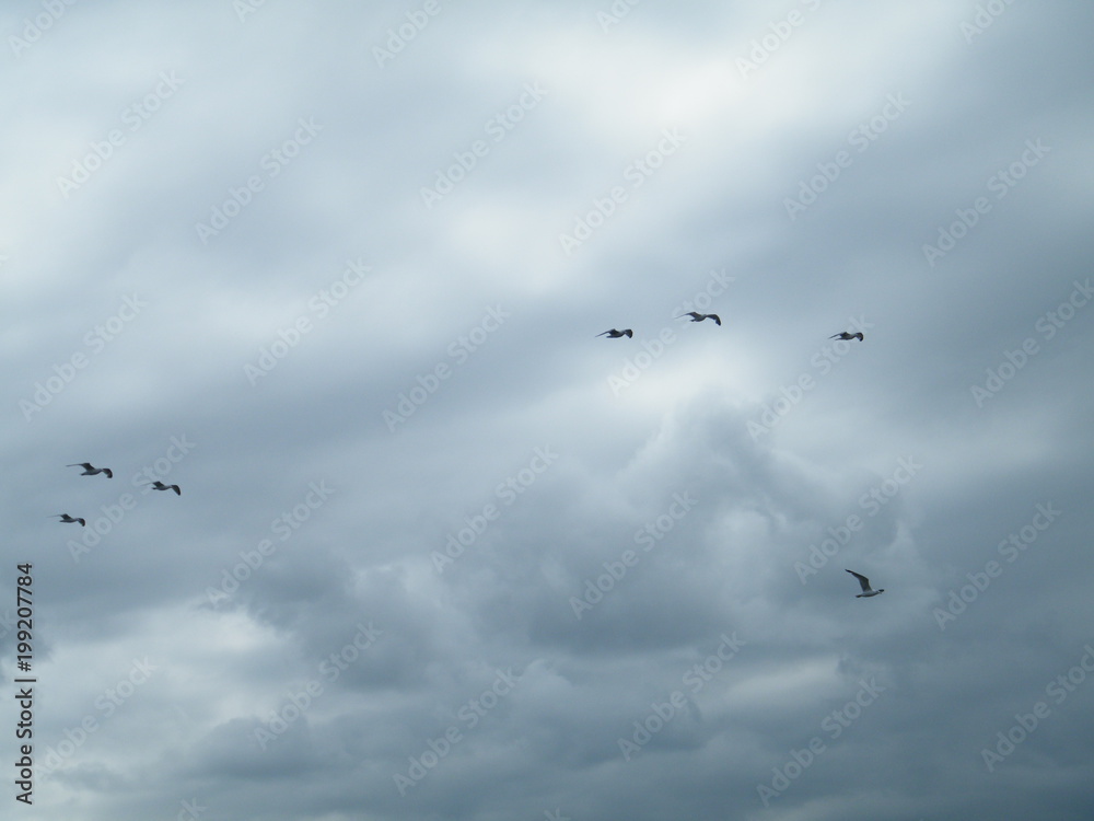 Obraz premium Patrulla de vuelo