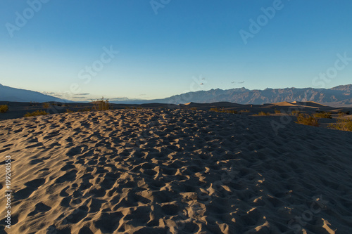 Mesquite Flat Dunes  Sand dunes at Death Valley National Park