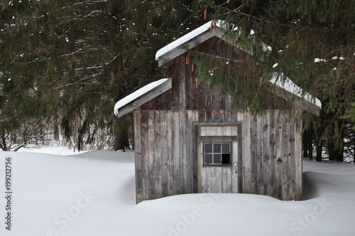 Old Shed