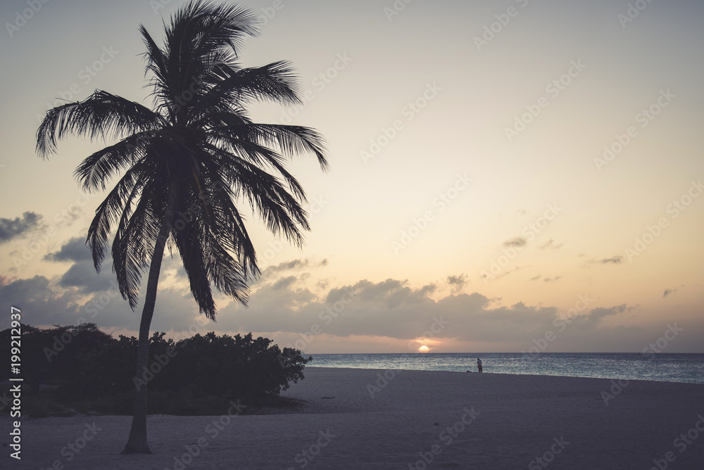 Tropical landscape at sunset. Caribbean idyllic beach.