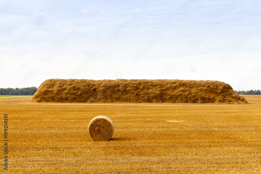 stack of straw