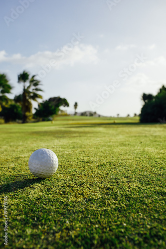 golf ball on green grass  palm trees background