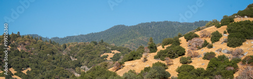 Kern Valley California