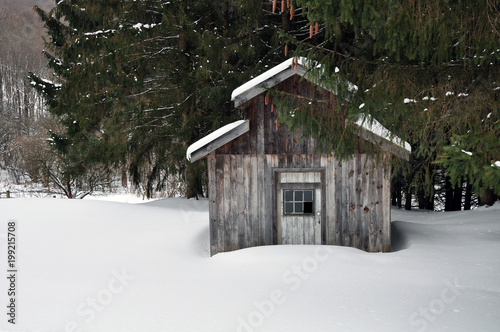 Shed