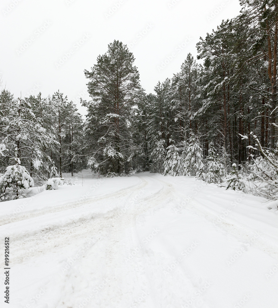 Fototapeta premium winter after snowfall road