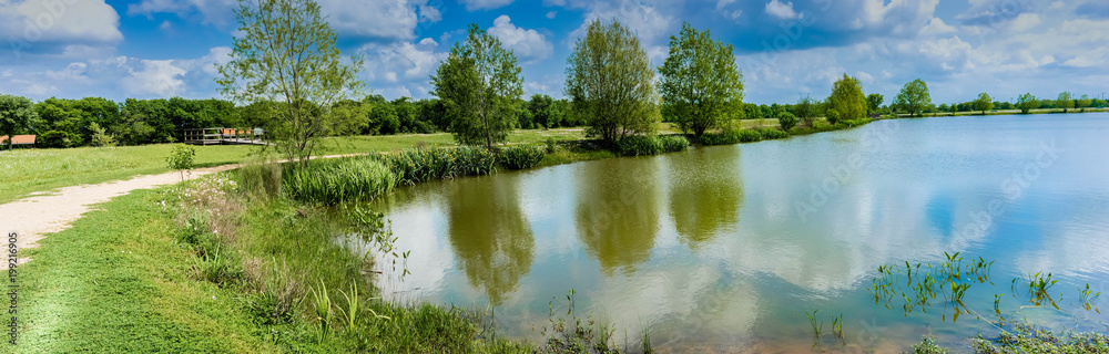 Pond Reflection