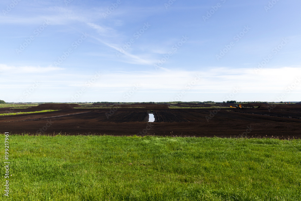 Fototapeta premium grass and black peat