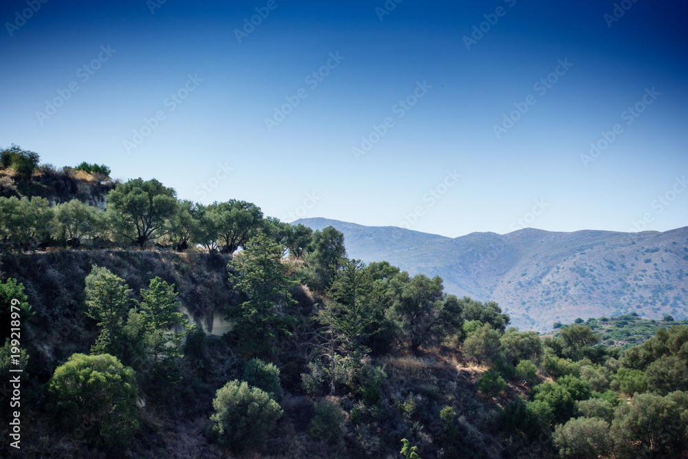 Trees and mountain, Crete, Greece