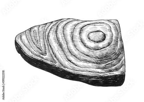 Fotografie Hand drawn salmon fillet
