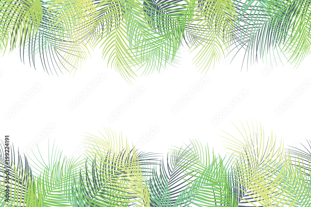 Tropical palm leaves background on white background