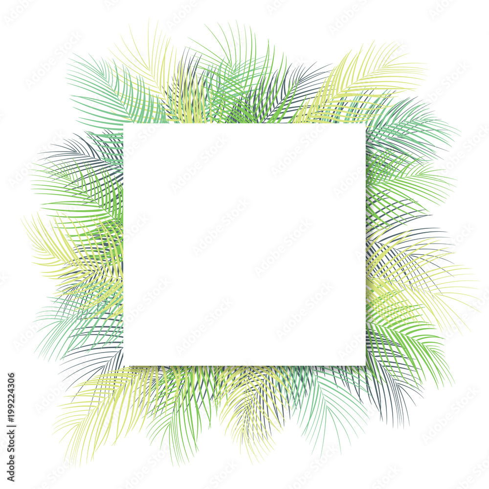 Tropical green palm leaves with white frame place for text isolated on white background