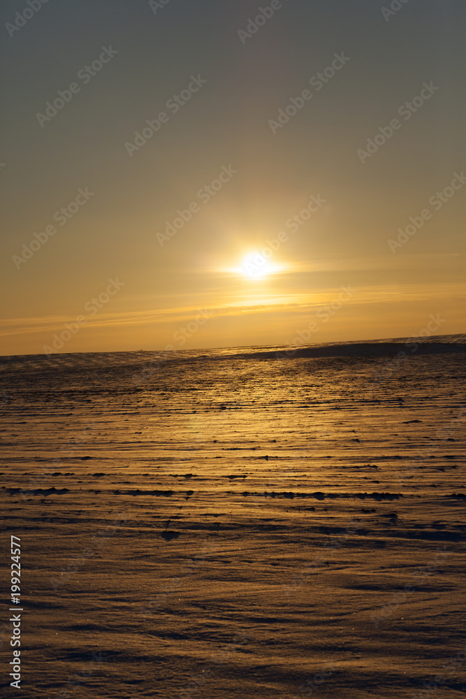 snow field