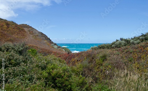 Shoreham Beach - Victoria, Australia