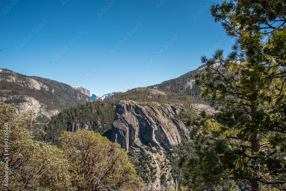 Yosemite National Park Landscape 
