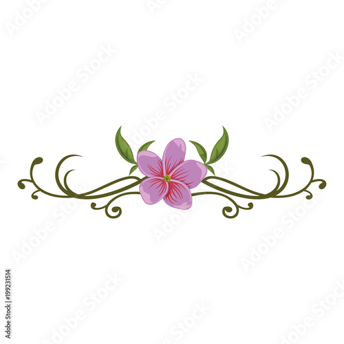 Beautiful Floral and ornaments design