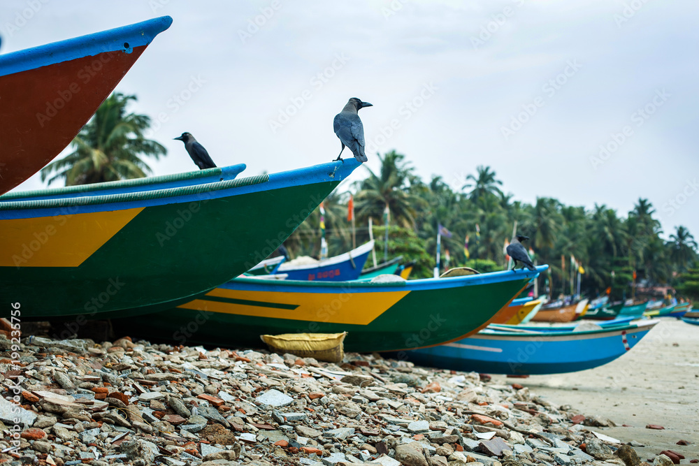 Сolored fishing boats on the beach Сolored fishing boats on the beach