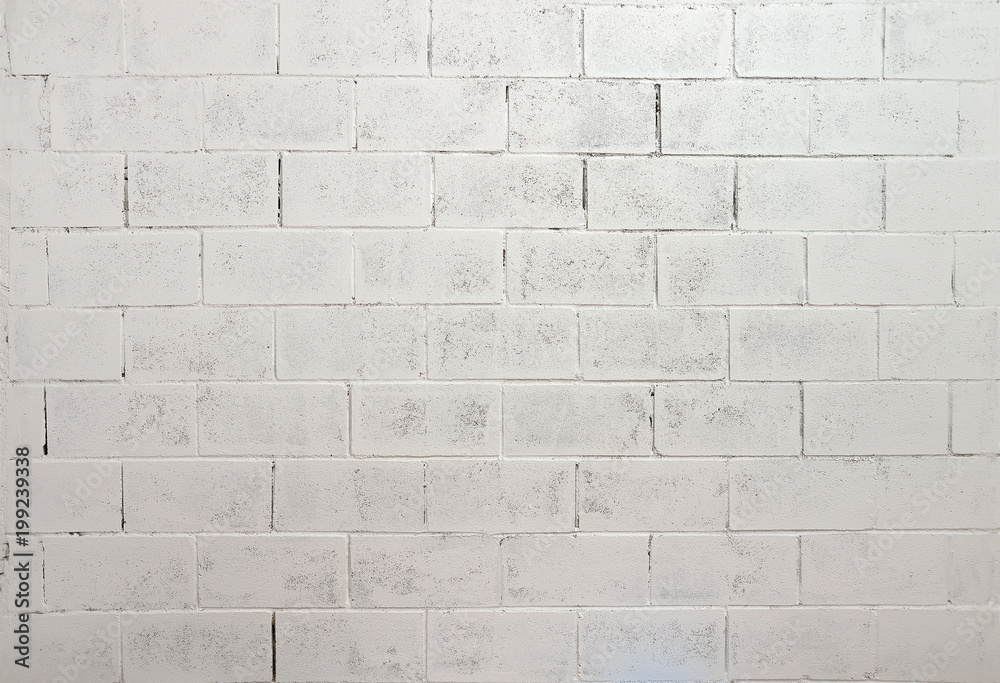 Fototapeta premium The white wall