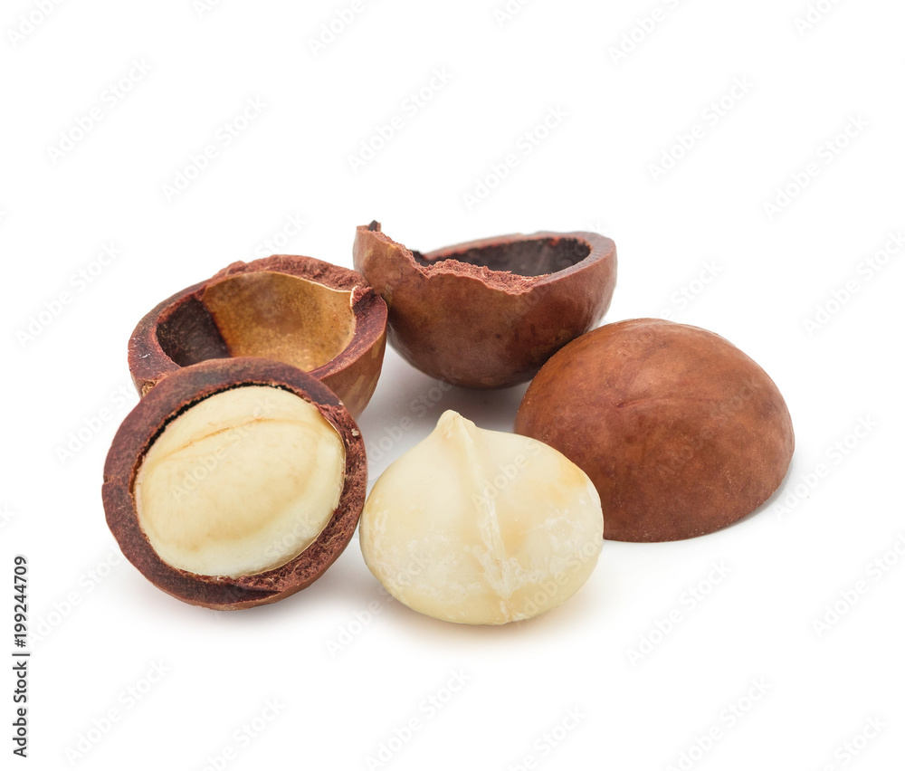 macadamia nuts isolated on a white background. macadamia nuts isolated on a white background.