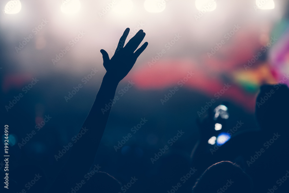 Cheering crowd at concert enjoying music performance