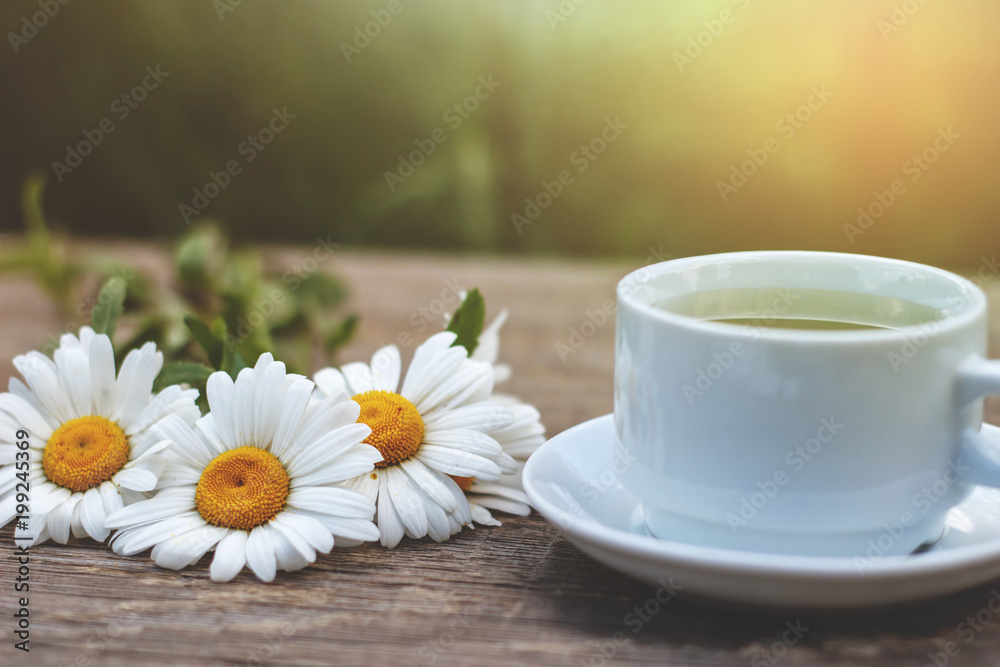 Bouquet of chamomile and cup of tea