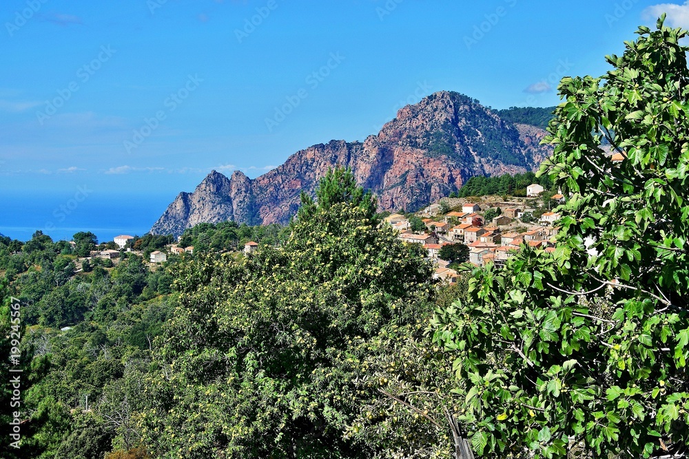 Corsica-view of the village Evisa