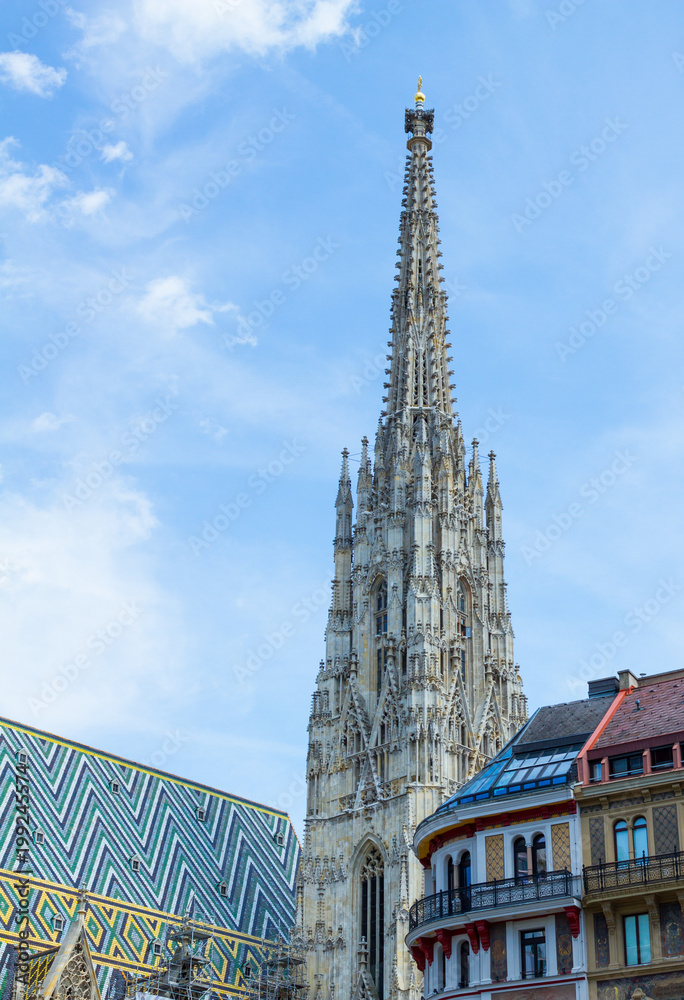 Fototapeta premium Saint Stephen's Cathedral in Vienna