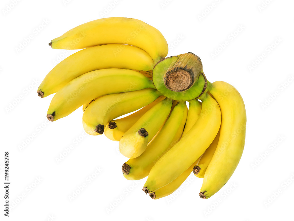 bunch of bananas isolated on white background with clipping path, studio shot