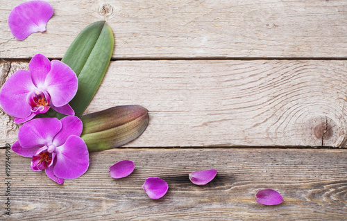 orchids on old wooden background