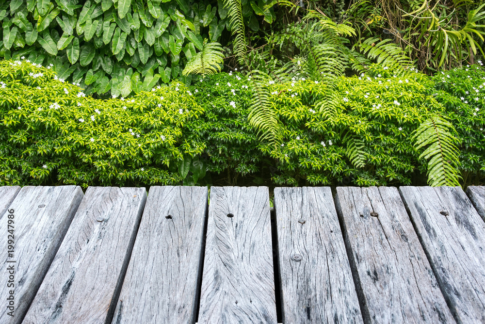 Wooden decking and plant garden decorative. Wooden decking and plant garden decorative.