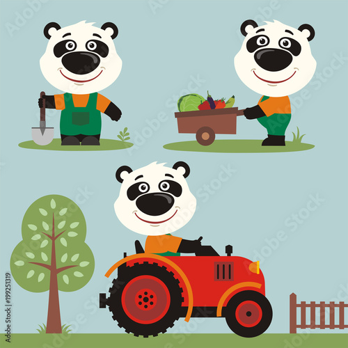 Set of funny panda bear farmer with shovel, with wheelbarrow with vegetables, in farm tractor. Collection of cartoon panda bear is working on the farm.