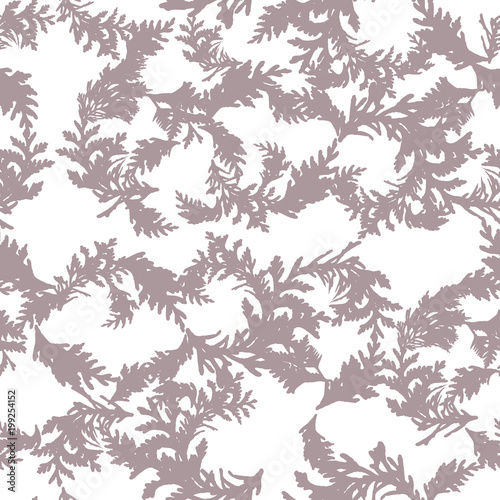 Botanical vector seamless pattern with thuja branches and twigs