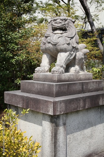 Lion dog of Japan