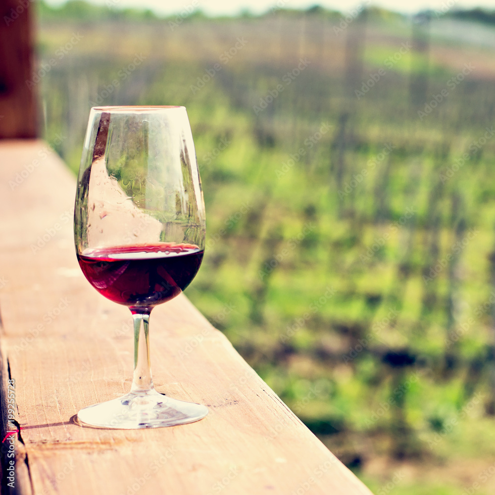 A glass of red wine  against a background of vineyards.