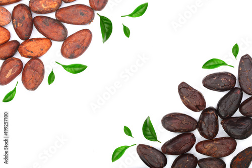 cocoa bean decorated with green leaves isolated on white background with copy space for your text. Top view. Flat lay