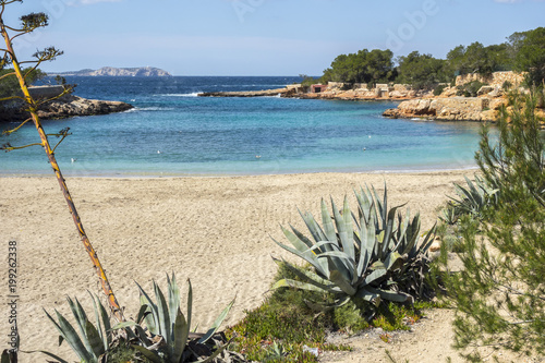 Bild auf Leinwand Mediterranean beach, Cala Gracio, town of Sant Antoni, Ibiza island,Spain
