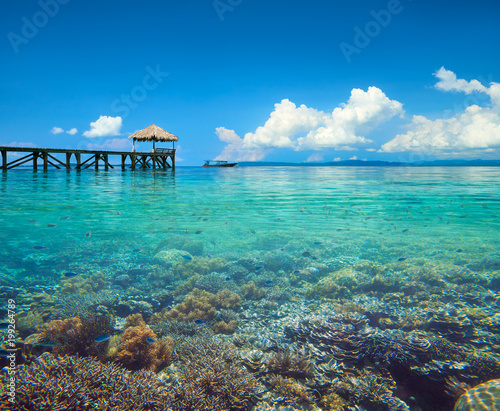 Beautiful coastline landscape with coral reef in Indonesia underwater and over water