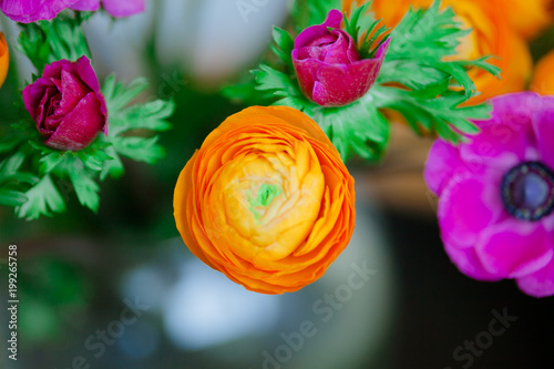 Bright bouquet of Ranunculus and decorative poppies