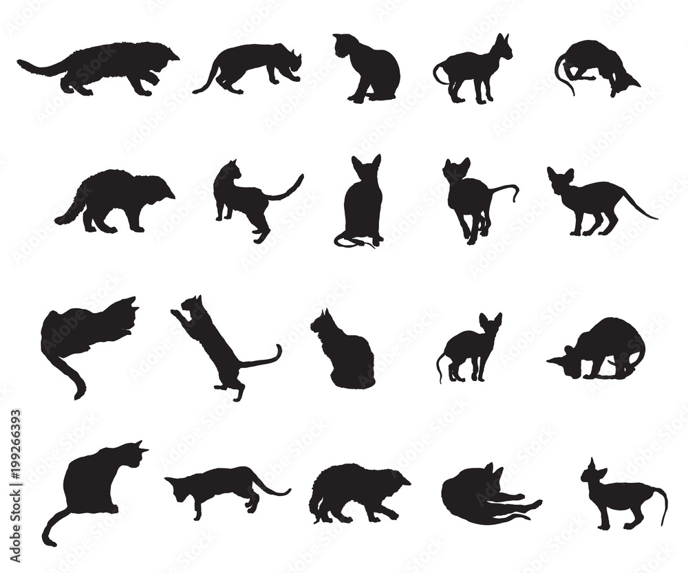 Set of cats silhouettes-3