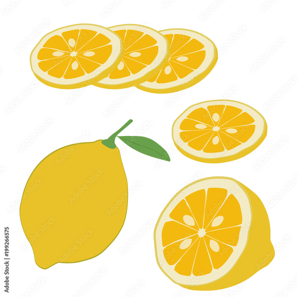 Half lemon isolated on white background and sliced lemon. Yellow lemon fruit whole close-up. Vector illustration for a recipe, restaurant menu, kitchen interior design. Half lemon isolated on white background and sliced lemon. Yellow lemon fruit whole close-up. Vector illustration for a recipe, restaurant menu, kitchen interior design.