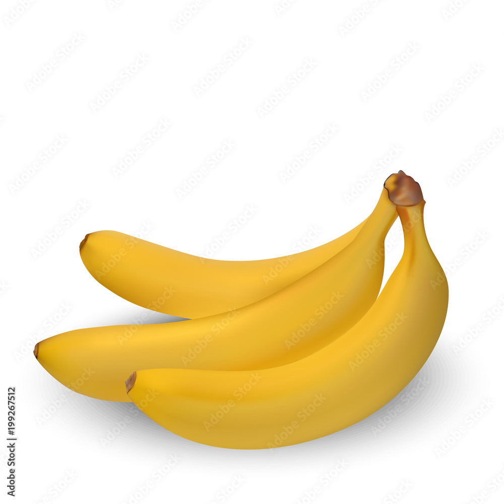 Bunch Yellow whole bananas. Fresh fruit. Vector.