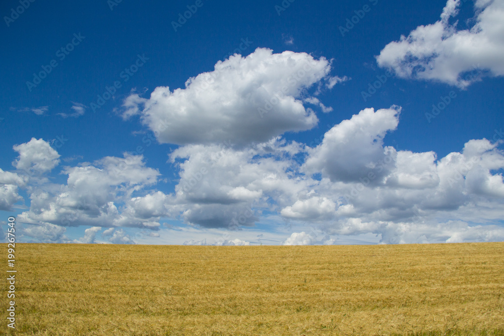 Field and sky горизонт