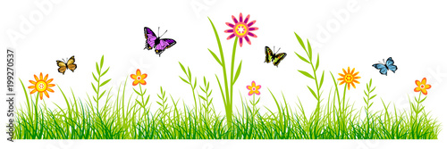 Frühling - Sommer - 29