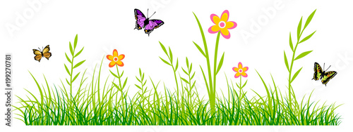 Frühling - Sommer - 31