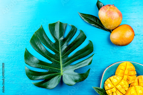 Tropical concept, Tropical leaves and mango on blue background photo