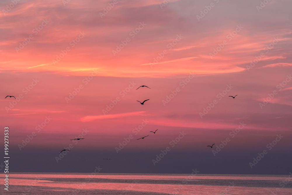 Fototapeta premium Beautiful sunrise sky over the sea with silhouettes of flying birds, Vama Veche, Black Sea, Romania