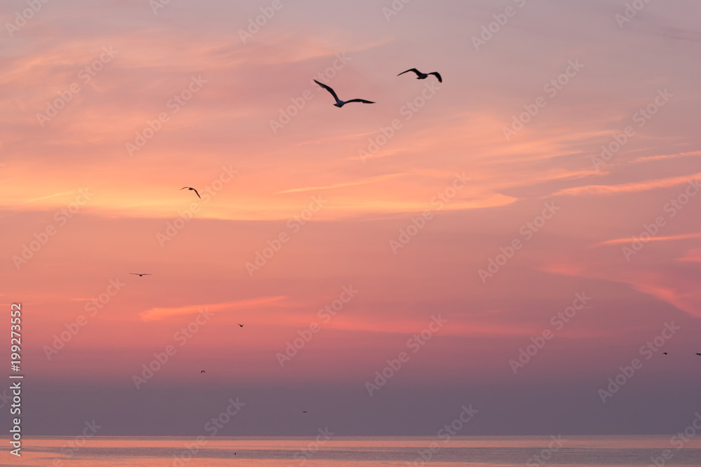 Beautiful sunrise sky over the sea with silhouettes of flying birds, Vama Veche, Black Sea, Romania