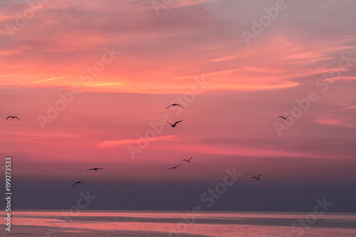 Beautiful sunrise sky over the sea with silhouettes of flying birds, Vama Veche, Black Sea, Romania © mihaelastancu